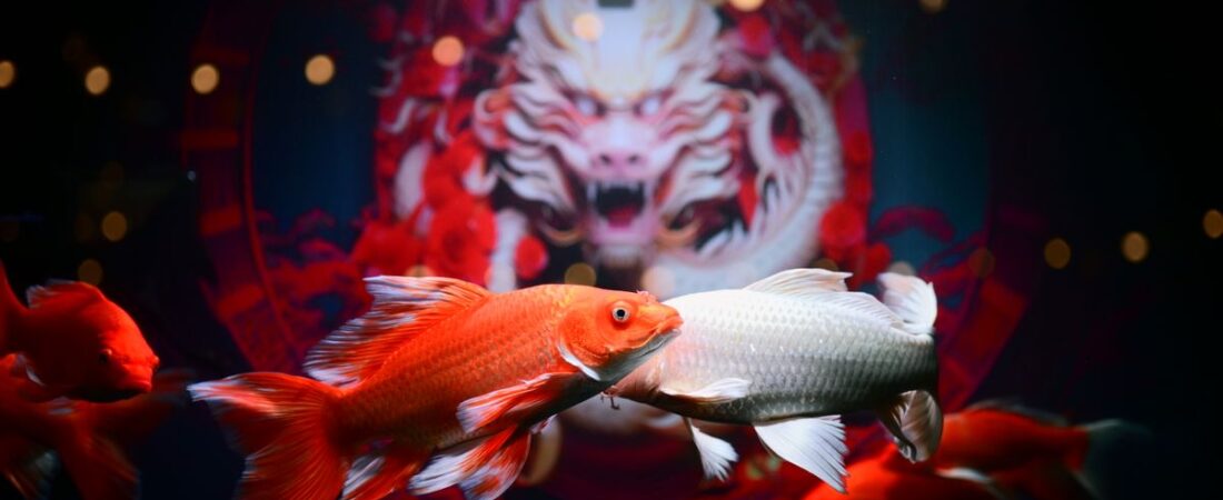 IB8 SG Red Tiger Slot Review: Features, Play Guide & Winning Tips for Centre Players